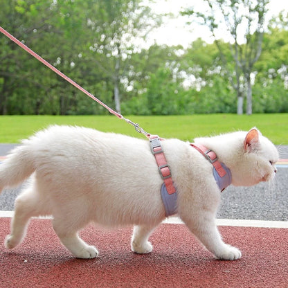 Pawmee Harness leash