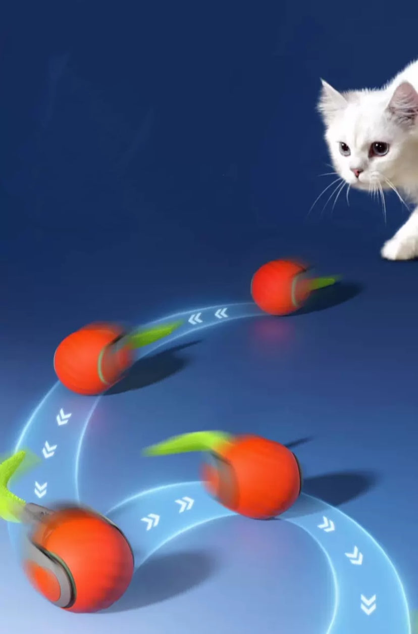 Electric cat toy ball