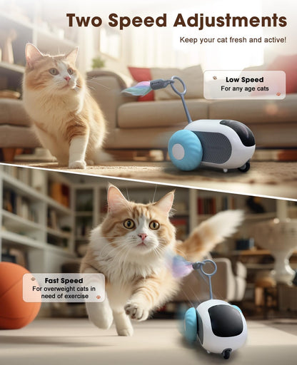 Smart Interactive Cat Toy