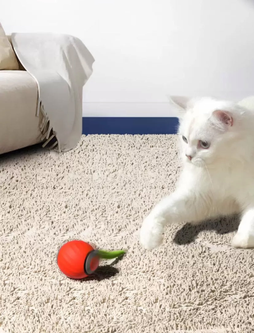 Electric cat toy ball