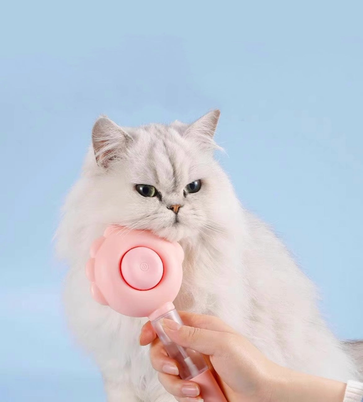 3 in 1 cat brush