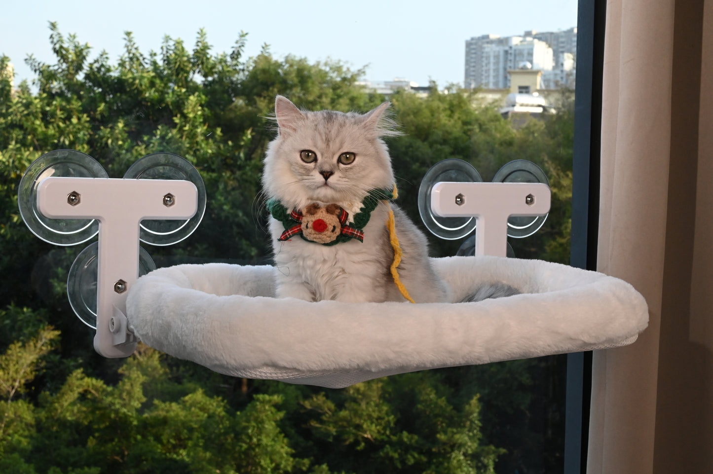 Pawmee Cat Window Perch with Cushion Bed