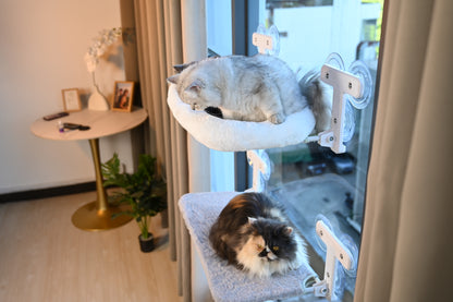 Pawmee Cat Window Perch with Cushion Bed