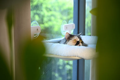 Pawmee Cat Window Perch with Cushion Bed